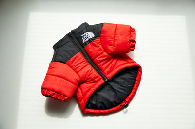 Abrigo Impermeable y Cortavientos para Perros - Ropa de Invierno Acolchada - Image 7