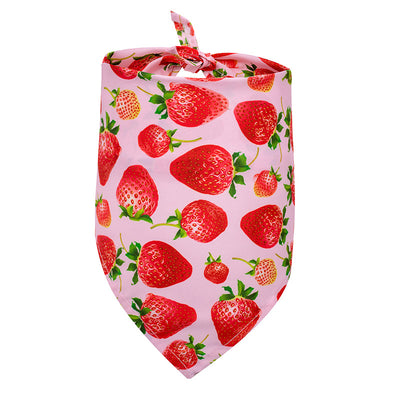 Pañuelo Triangular Absorbente para Perros - Diseño Frutas de Verano - Image 14