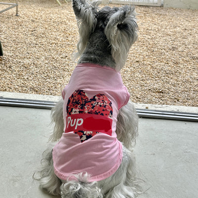Chaleco Fresco para Perros - Ropa de Algodón para Primavera y Verano - Image 13