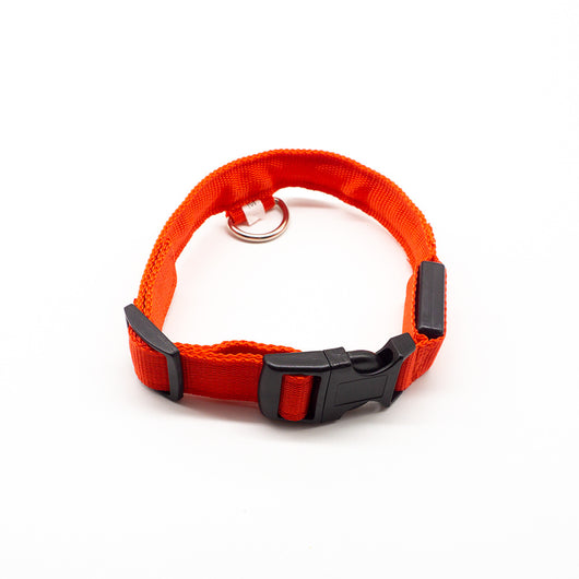 Collar LED Recargable para Mascotas - Image 13