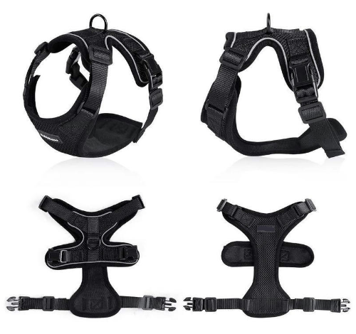 Arnés de Chaleco para Gato a Prueba de Escape con Adaptador de Cinturón de Seguridad - Image 27