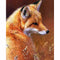 Raposa Redonda 25 X 30 Cm