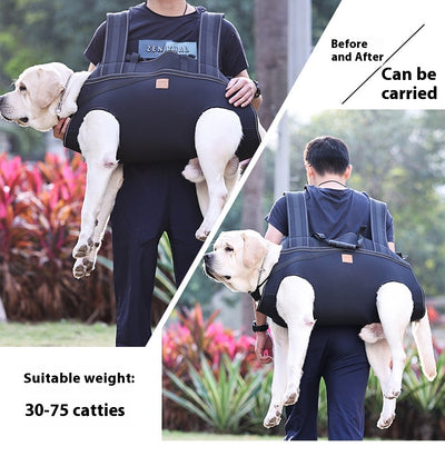 Mochila de Transporte para Perros Medianos y Grandes - Image 17