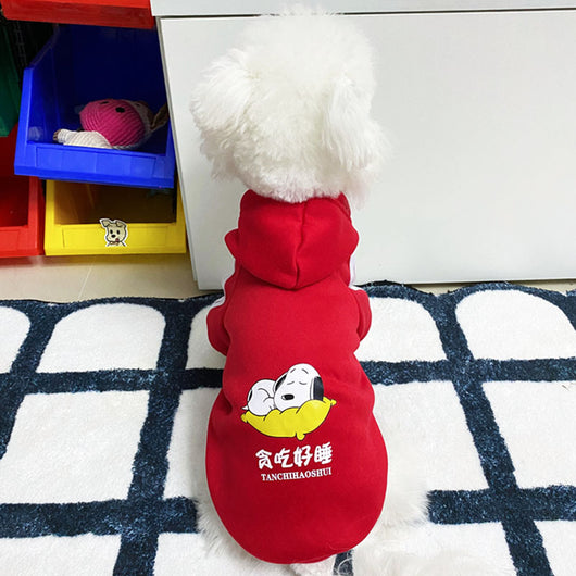 Ropa de Abrigo para Perros - Diseños Adorables Otoño e Invierno - Image 8