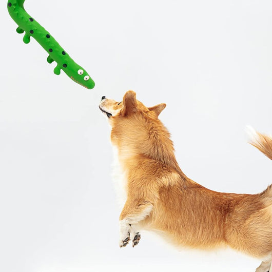 Juguete Mordedor para Perros Forma de Lagartija con Sonido Chirriante - Image 5
