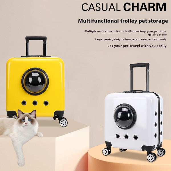Mochila Transportín Cápsula Espacial para Gatos