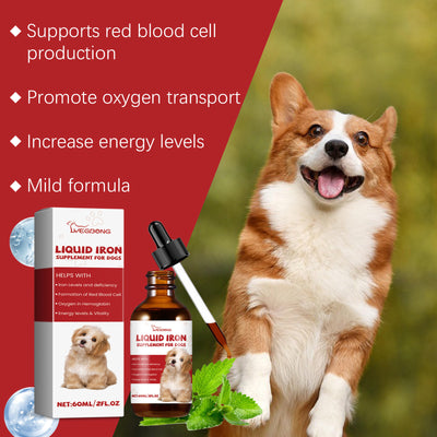Suplementos Digestivos para Perros con Ingredientes Naturales - Image 14