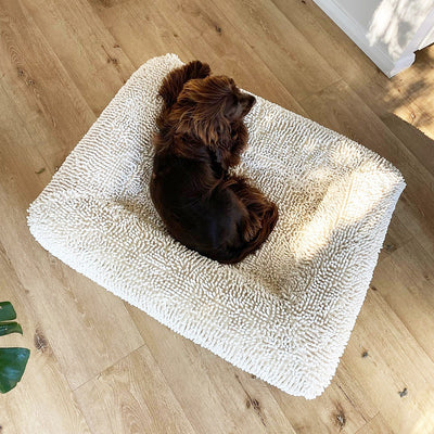 Cama Sofá para Perros Extragruesa Desmontable y Lavable, Todo Clima
