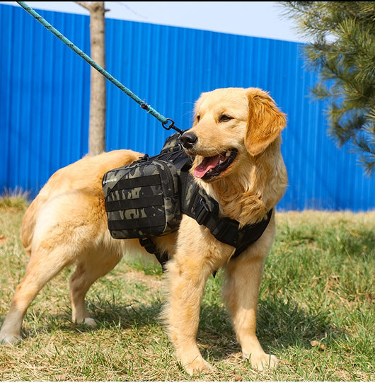 Pack de Snacks para Perros Medianos y Grandes - Variedad Completa - Image 16