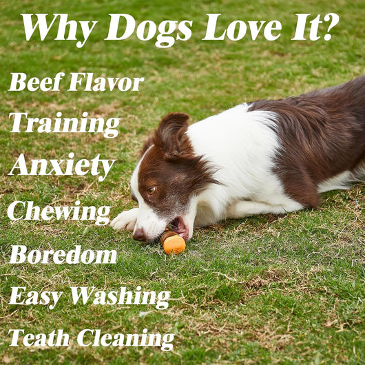 Juguetes para Masticar Perros Sabor Carne Real - Resistentes para Masticadores Agresivos - Image 7