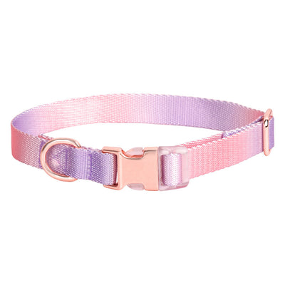 Collar Ajustable para Perros y Gatos - Diseño Degradado Moderno - Image 8