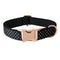 Perro Pen S