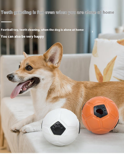 White and black dog toy with a soccer ball base and a textured rod for nibbling and teeth grinding. - Image 16