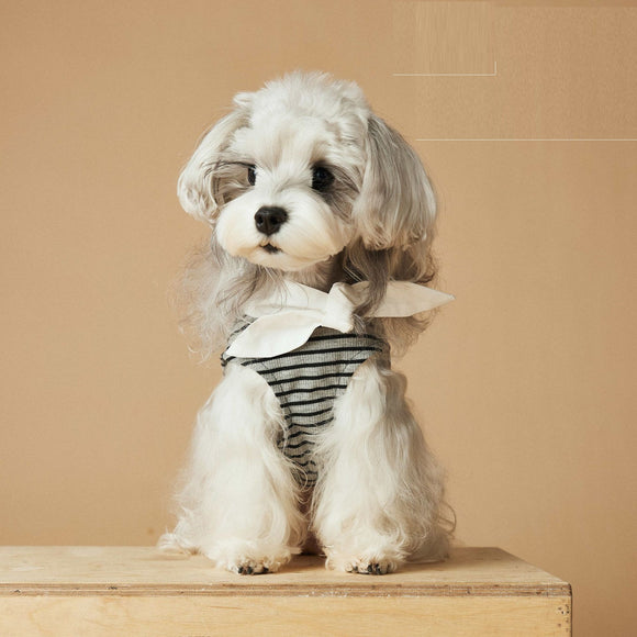 Vestido Rayado Primavera y Verano para Perros