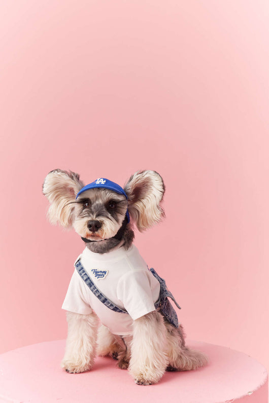 Ropa de Verano para Perros Pequeños - Teddy Schnauzer Bichón - Image 33