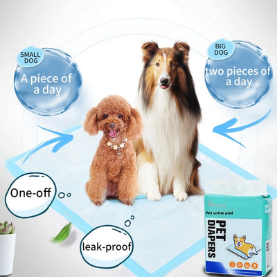 Pañales Absorbentes para Perros - Protección Total - Image 13