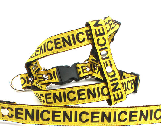 Collar y Correa para Perro Premium