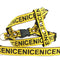 Collar y Correa para Perro Premium