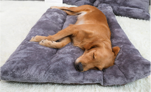 Caseta Desmontable y Lavable para Perros Grandes - Image 13