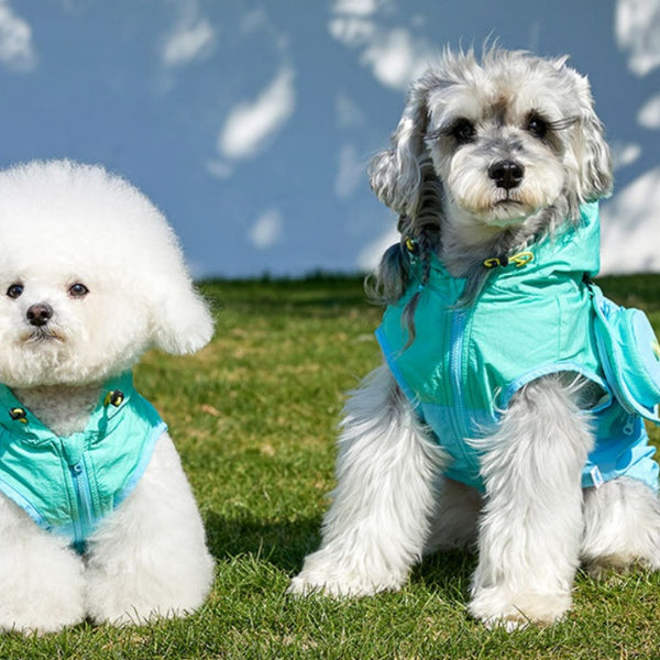 Chaleco de Protección Solar para Perros Pequeños - Bichón, Schnauzer y Razas Similares