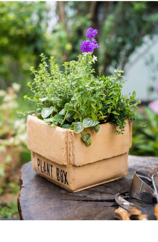 Maceta Creativa de Papel Cemento para Plantas de Interior y Balcón - Image 24