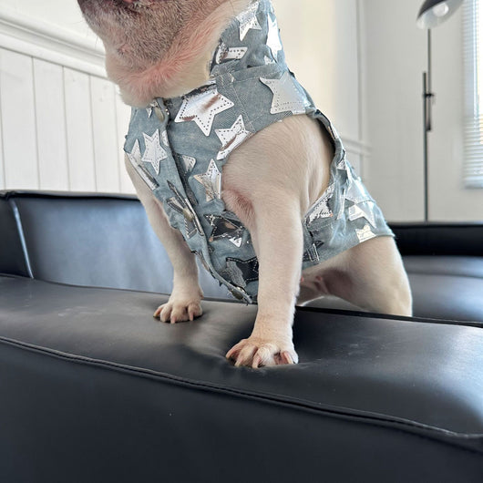 Chaleco Denim Fresco para Mascotas - Perros y Gatos Verano - Image 25