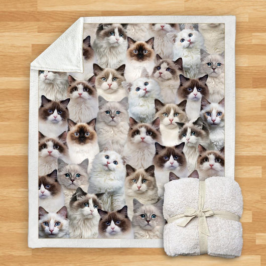 Manta de Franela Estampada para Perros de Diseño Moderno - Image 16