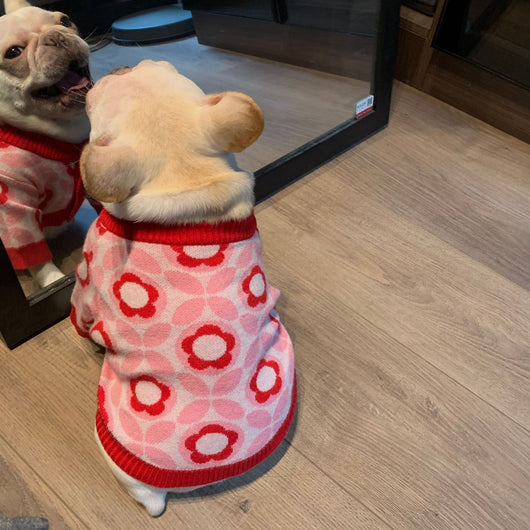 Suéter Jacquard para Perros - Abrigo Cálido Otoño e Invierno - Image 9