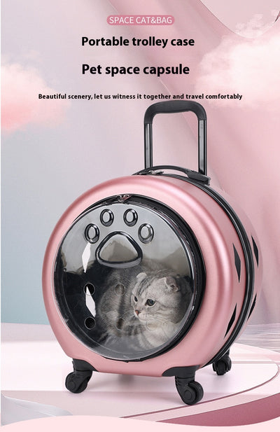 Bolsa Transportadora Transparente Reforzada para Mascotas - Gatos y Perros - Image 13