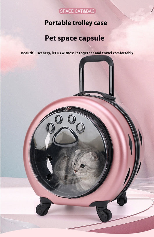 Bolsa Transportadora Transparente Reforzada para Mascotas - Gatos y Perros - Image 13