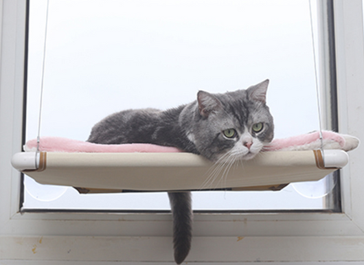 Hamaca Nido para Gatos - Cama Colgante Confortable
