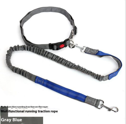 Correa Reflectante para Perros con Elástico - Ideal para Correr de Noche - Image 23