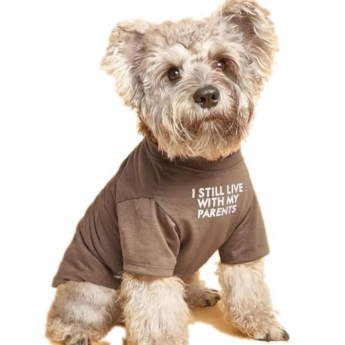 Playera de Cuello Redondo para Mascotas - Image 7