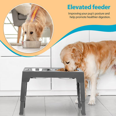 Comedero Elevado Antilento con Soporte para Cuello - Protección Cervical para Perros - Image 20