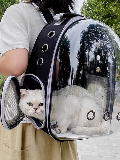 Mochila Transparente para Gatos con Cúpula Panorámica y Gran Capacidad - Image 21