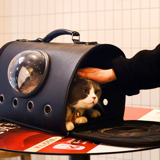Mochila Cápsula Espacial para Gatos - Transportín Portátil de Gran Capacidad - Image 2