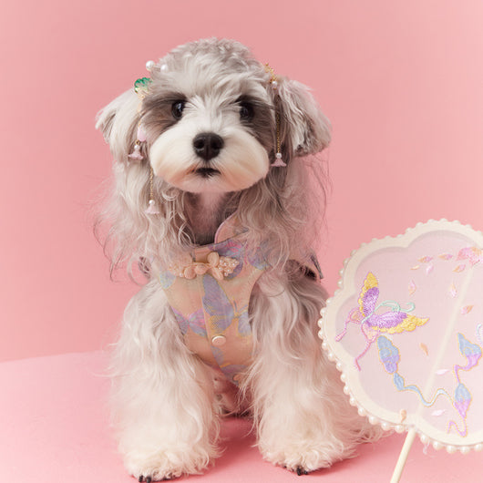 Chaleco Cheongsam Estilo Neo-Chino para Mascotas Pequeños - Schnauzer y Bichón - Image 4