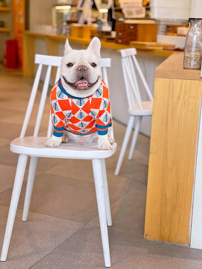 Suéter Abrigador para Perros y Gatos - Diseño Pug Shiba Inu para Invierno - Image 2
