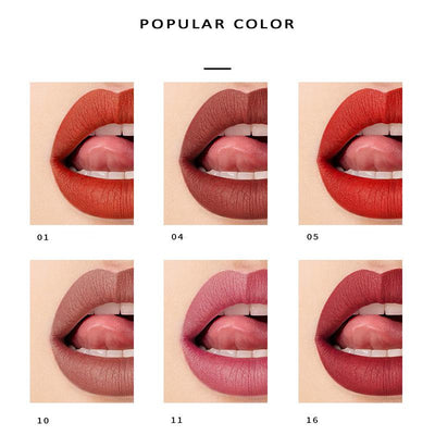 Paleta de 16 Labiales Mate Larga Duración - Fórmula Antiadherente - Image 9