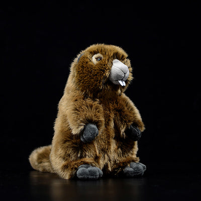Peluche de Marmota Adorable - Modelo de Animal Realista