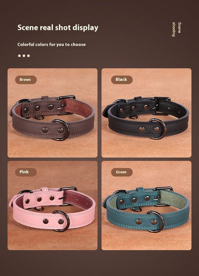 Teal leather pet collar with white stitching, dark metal buckle, and D-ring, displayed on a brown surface. - Image 18