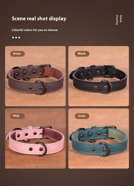 Teal leather pet collar with white stitching, dark metal buckle, and D-ring, displayed on a brown surface. - Image 18