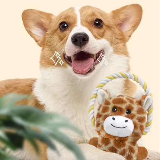 Juguetes de Peluche para Perros - Animales Chirriantes Resistentes a Mordidas - Image 16