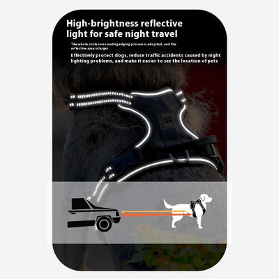 Arnés Reflectante para Perro con Correa de Seguridad Antitirón - Image 4