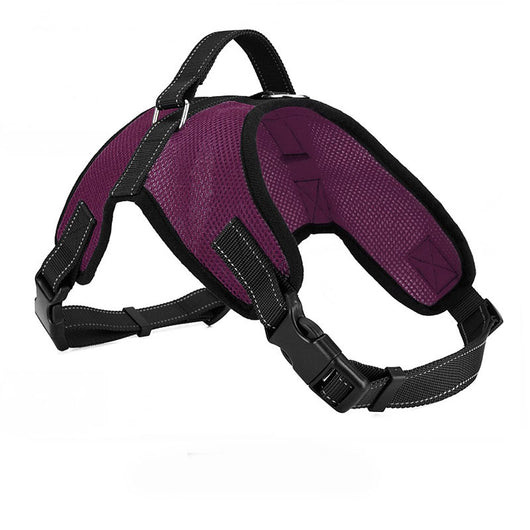 Arnés Pectoral Transpirable para Perro con Correa - Image 7