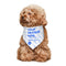 Pañuelo Triangular Decorativo para Mascotas - Gatos y Perros