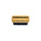 Beech Wood Travel Hand and Nail Brush
