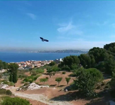 Dron Pájaro Biónico Teledirigido - Juguete Volador Inteligente - Image 10