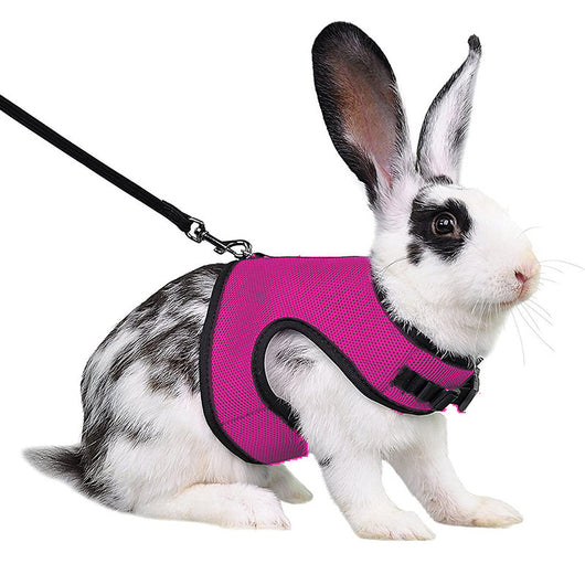 Light gray mesh pet harness with black trim and matching leash on a black and white rabbit. - Image 10