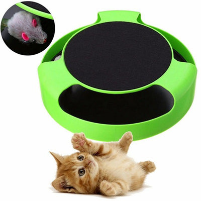Juguete Automático Interactivo para Gatos - Diversión sin Fin - Image 8
